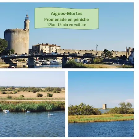 Le Magellan T2 Centre-ville - Clim Wifi Terrasse - Rossiconciergerie - Linge Inclus Lejlighed