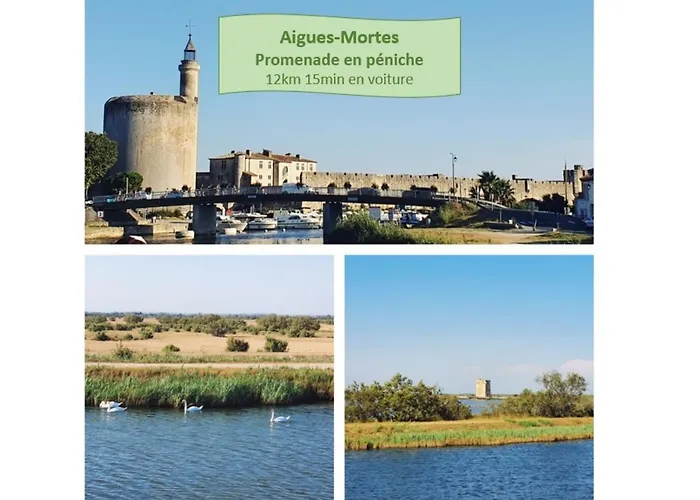 T2 Magellan Centre-ville - Clim Wifi Terrasse - Rossiconciergerie - Linge Inclus Διαμέρισμα